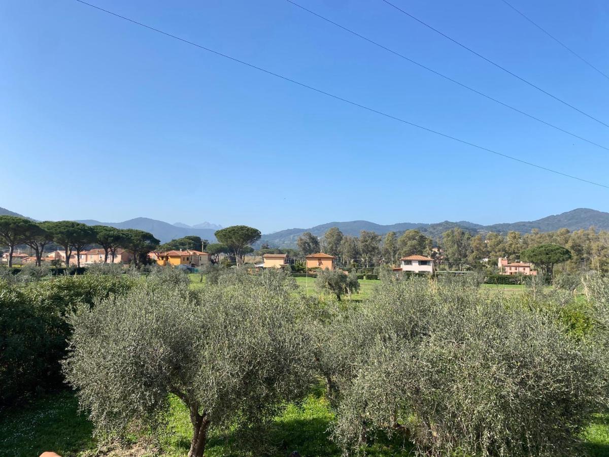 Residence Terme Isola D'Elba Srl 费拉约港 外观 照片