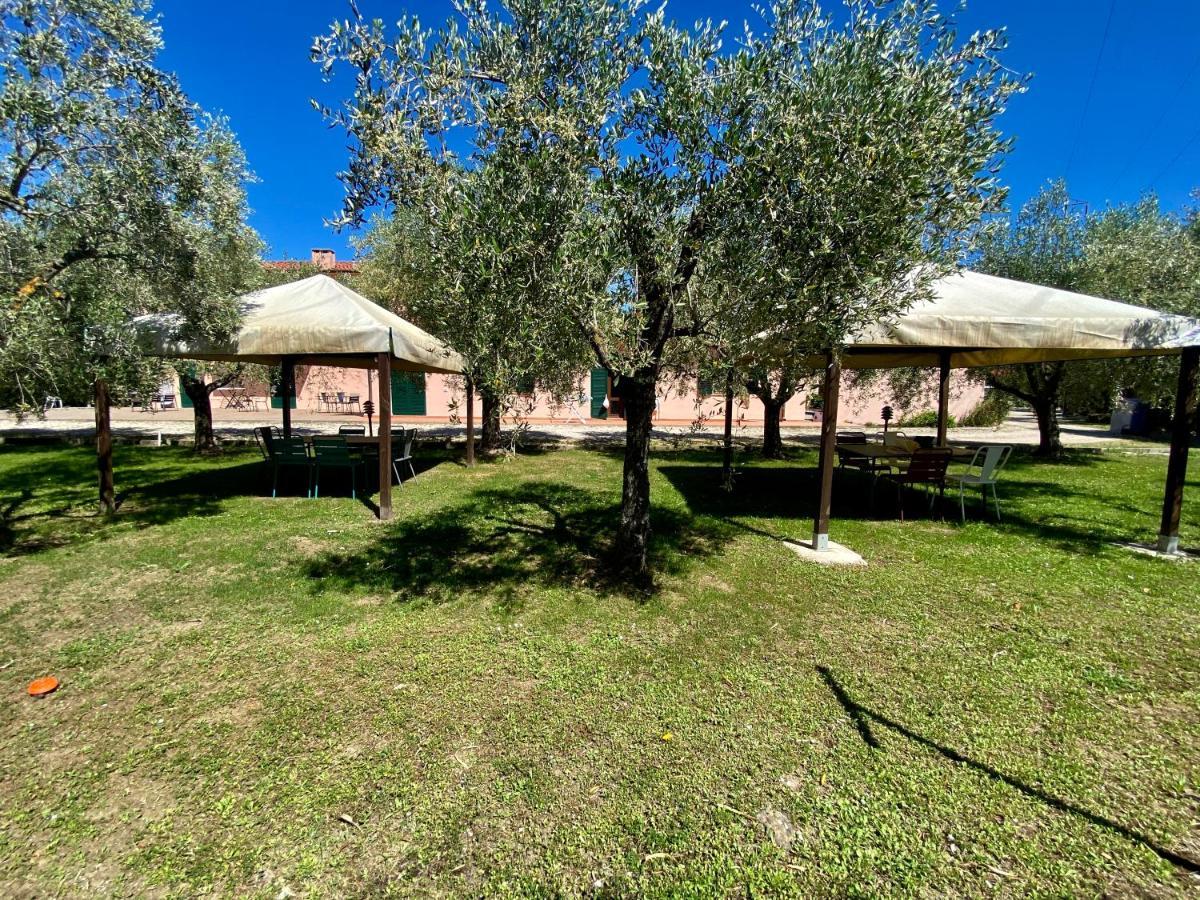 Residence Terme Isola D'Elba Srl 费拉约港 外观 照片